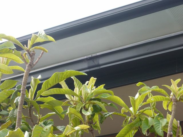 雨樋工事①(施工前)